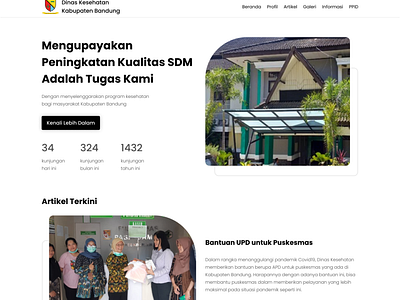 Dinas Kesehatan Website