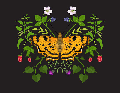 BUTTERFLY blackberry butterfly digital art drawing illustration nature wood