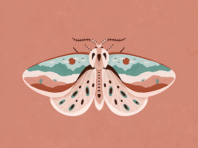 Desert Moth cactus desert digital art drawing illustration insect landscape moth nature painting sand