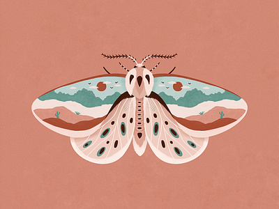 Desert Moth