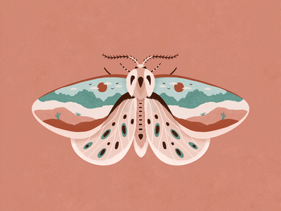 Desert Moth by Petra Holíková on Dribbble