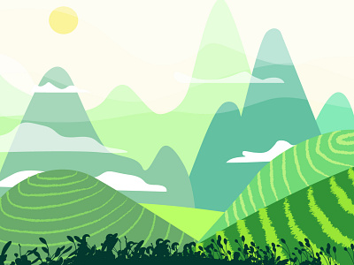 Scenery tea plantations