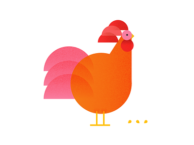 Rooster illustration rooster