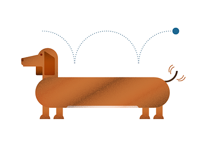 Dachshund dachshund dog illustration