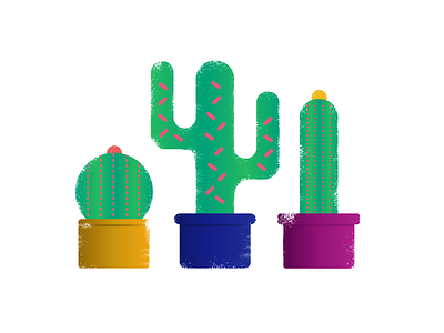 Cactuses cactuses illustration mexico plants