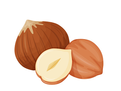 Hazelnut cartoon food hazelnut illustration nut vector