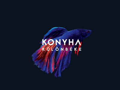 Konyha - Különbéke LP album art album cover branding cover art design konyha music