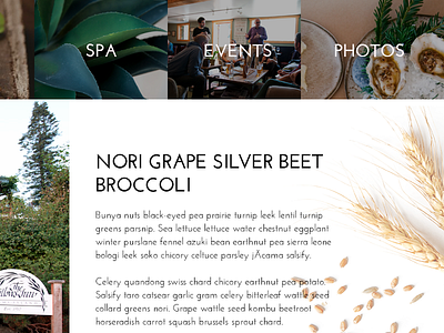 Farm to Table Hotel and Restaurant Comp book button content design events farm hotel layout photos preview web website