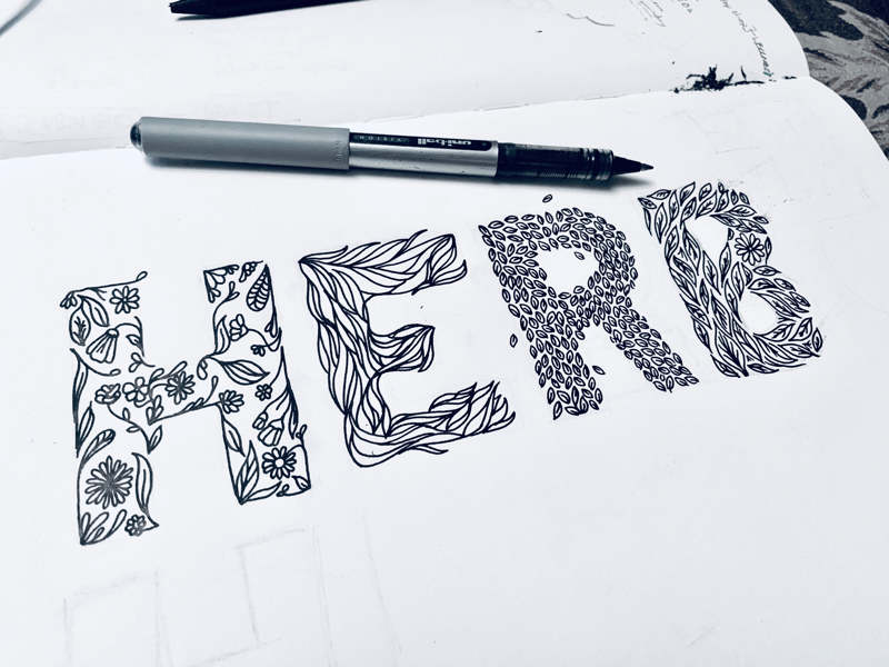 Herb illustrations leaves flowers lines pen work pen illustration natural floral herb sketching sketches drawing