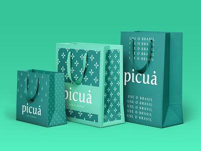 Picuá Packaging brand branding design identity illustration logo logodesign logotype mark package package design packaging ui ux