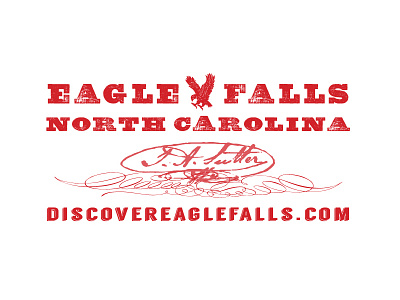 Eagle Falls Logo eagle logo mountains north carolina tourism