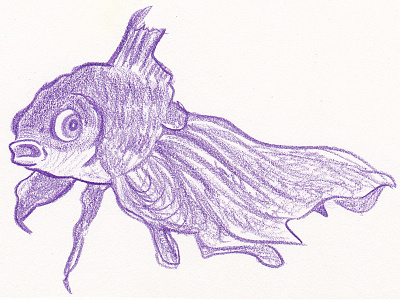 Goldfish fish goldfish illustration sketch
