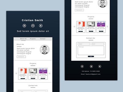 Software Developer Concept Portfolio design ui ux web