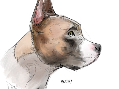 Sketch of my dog, buster 2d art art dog graphic art illustration procreate sketch