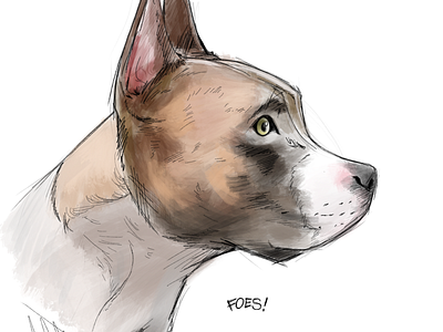 Sketch of my dog, buster