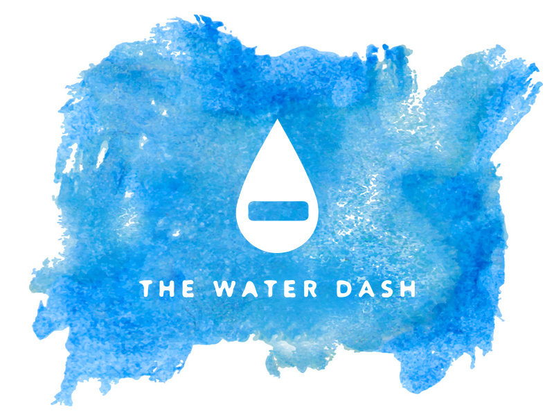 WATER DASH blue logo blue logo design iconography icon water dash water corporate identity identity watercolor watermark logotype logo