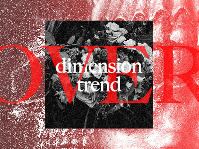 dimension trend