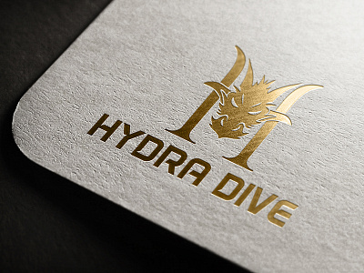 Logo Design for Diving gear Manufacturer