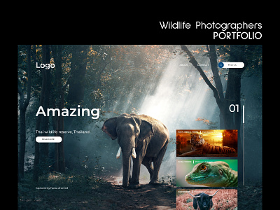 Wildlife photographers Shots portfolio app branding design illustration minimal typography ui ux website