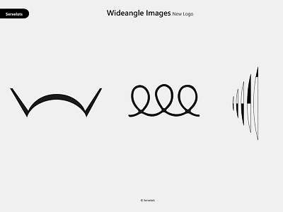 Wideangle Logo branding logo