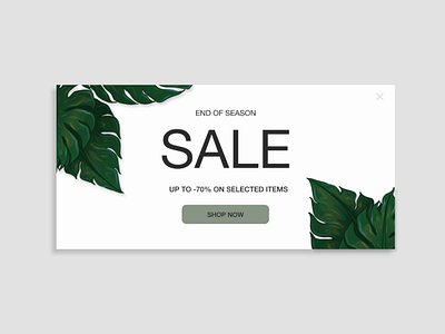 Daily UI Day 036: Special Offer