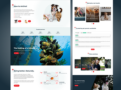 Animal supplement website design