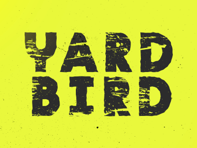 yard bird kill crew london music pigeon rock type typography yard bird