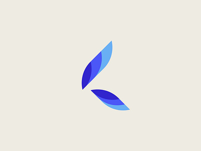Letter K dailylogochallenge design flat illustration logo vector