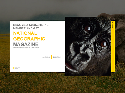 Daily Ui 001 National Geographic Rebound daily geographic national ui