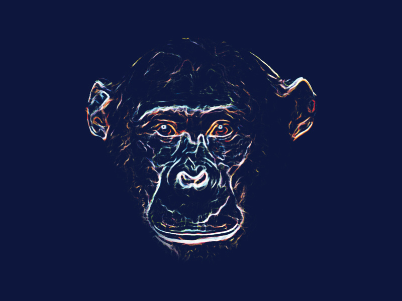 Caesar illustration chimpanzee
