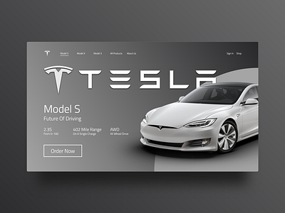 Tesla landing page concept