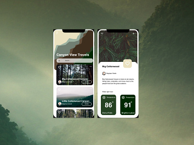 Canyon User Interface Mobile Concept design graphic design illustration ui ux