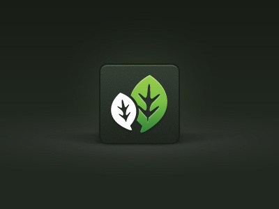 Leaf Icon