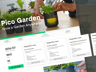 Gofundme Designs Themes Templates And Downloadable Graphic Elements On Dribbble Gofundme Designs Themes Templates And Downloadable Graphic Elements On Dribbble