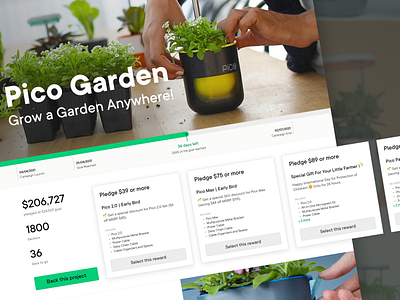 Gofundme Designs Themes Templates And Downloadable Graphic Elements On Dribbble