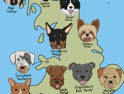 Isle Of Dogs adobe illustrator animals britain digital illustration dog breeds dog illustration dogs icons illustration infographic line art map process procreate app workflow