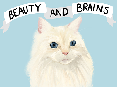 Beauty And Brains animal portrait art banner cat cat portrait cats cute illustration kitten pet portrait procreate procreate art ragdoll cat type typo typography