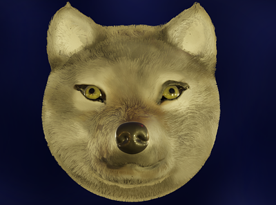 Wolf 3d blender 3d eevee fur hair render render 3d texture texture paint wild animal wolf