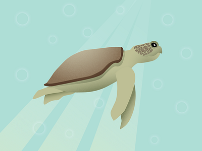 Turtle animal art animal illustration animals art cute design flat flat design flat illustration illustration illustrator ocean ocean life sea sea creatures turtle underwater vector vector art