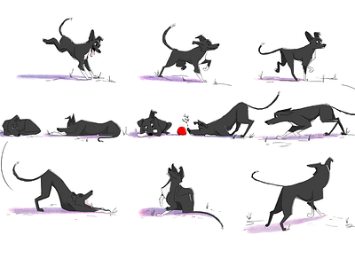 Bindi and the Ball: Part 1 adobe animals character digital illustration photoshop red ball