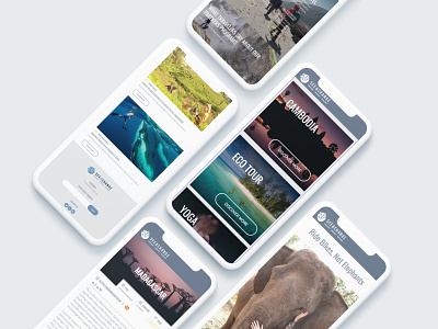 Mobile Version for Seeachange Website branding design responsive