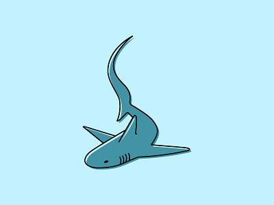 Thresher Shark blue design drawing fish illustration shark water