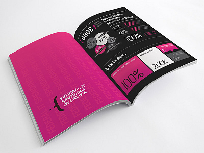 Fedscoop brochure goverment helvetica infographic pink print typography