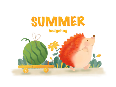 Hedgehog hedgehog procreate illustration