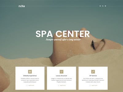 Landing Page - Nixe Wordpress Theme