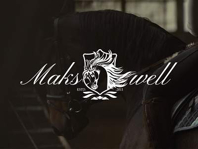 Logo Makswell