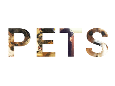 Dey So Cuddly Doe... animals identity life minimal pets powerful typography