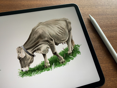 cO_Ow 3 🐄 cow cows illustration illustration art illustrator ipadpro ipadproart pankaj juvekar procreate procreate app procreate art procreateapp