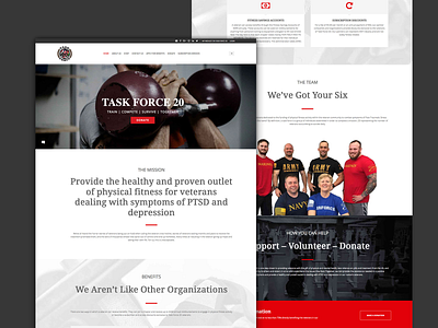 Task Force 20 Website design ui ux