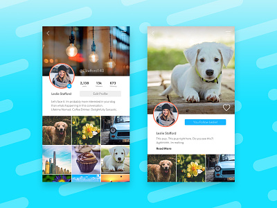 Instapup app dog instagram photo profile pup ui user interface